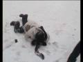 4º vídeo de la Gran Kedada en Segovia, 28 al 30 de noviembre de 2008