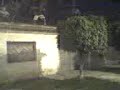 belmo kamicase belmo kamicase