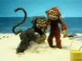 Macaco Tarado Macaco Tarado