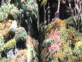 Relaxation Meditation Citations. Asia Music ZaZen ...