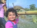 Fotos de arianita