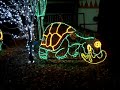 ZooLightsSLCVomitTortise.MPG ZooLightsSLCVomitTortise.MPG