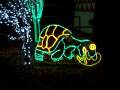 videos de ZooLightsSLCVomitTortise.MPG