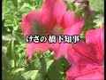 橋下知事「改革に混乱は必要」教育委員会のクソ野郎、その後