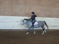 Phoebe and Sammi first time cantering.