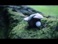 Joanna Kondrat - Echo tekst piosenki