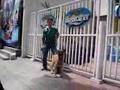 MANALO K9 on Patrol at Pinoy Big Brother House