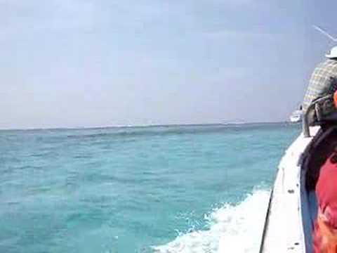 Lakshadweep Isles