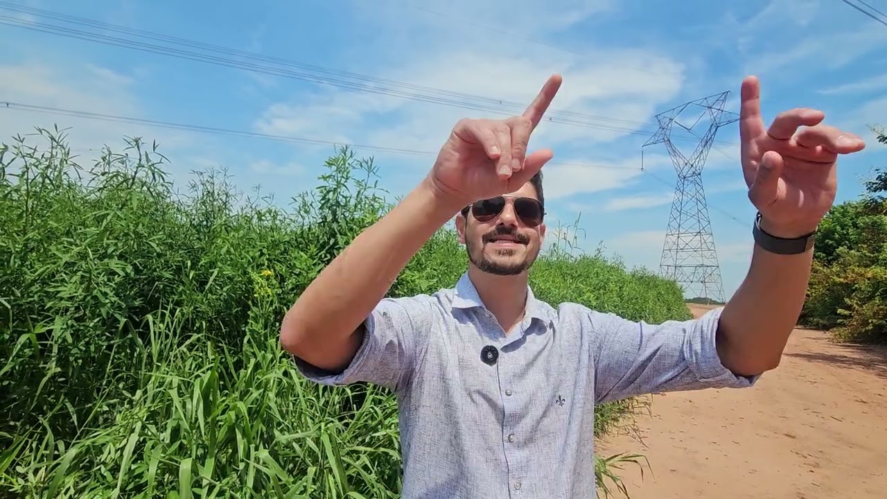 O cultivo de mix de sementes na Beggio Lorenzo Agropecuária nas áreas de reforma de canavial