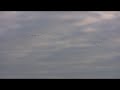 F\ F\