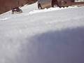 videos de pinin off road