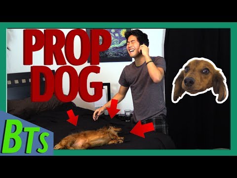 Marley - Behind the scenes and bloopers from the