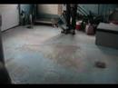 some 1st tricks manuals and other stuff