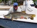 biggest snook ever broadcasted