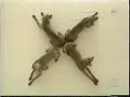 Search Video