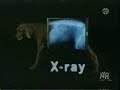 Search Video
