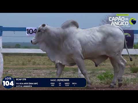 9 De Olho na Fazenda Capo do Angico
