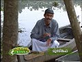 Feature on Lotus Cultivation done at Thirunavaya, Malappuram Feature on Lotus Cultivation done at Thirunavaya, Malappuram