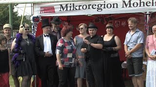 Den Mikroregionu v Paloníně