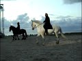 Oer de Seedyk - Gerrit Breteler