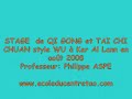stageqigongtaiji08.08.wmv