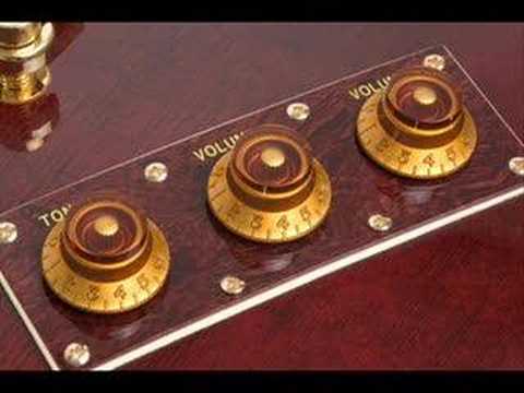 Allen Woody bass tribute