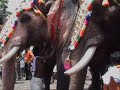 thrissur pooram trichur kerala 
