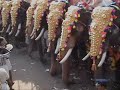 thrissur pooram trichur kerala 
