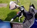 Burgman King
