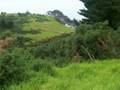 videos de Ngati Korora