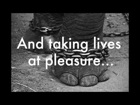 The Voice Of The  Silence