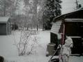 Giant Snowflakes