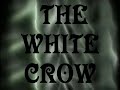 white crow presented by art vision