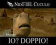 NIDO DEL CUCULO - Sai chi mi ricordi?