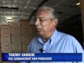 Spirits are high for Haiti's rum producers