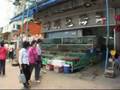 7 Hong Kong,Kowloon,Macau. เที่ยวฮ่องกง,เกาลูน,มาเก๊า