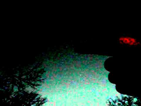 venus delight