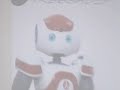 Nao RoboCup Edition