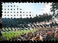 GALO FORTE CAMPE�O