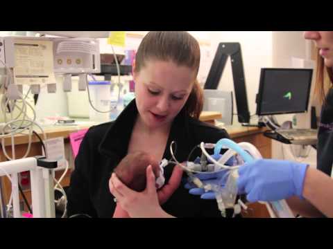 how to care premature baby at home