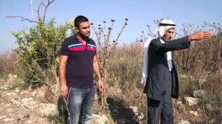 عدنا -قرية ميعار المهجرة