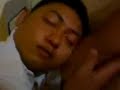 manok..... manok.....
