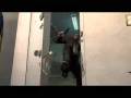 GTA IV: Trailer 2 Looking for that special someone.