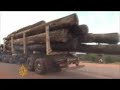 Brazilian police officers have swarmed into a town in the Amazon they say is the headquarters for illegal logging operations.They've been targeting loggers who sell wood for construction in Brazil, and for export to the United States.Aljazeera's Gabriel Elizondo visited the town of Tailandia deep in the heart of the Amazon rainforest.
