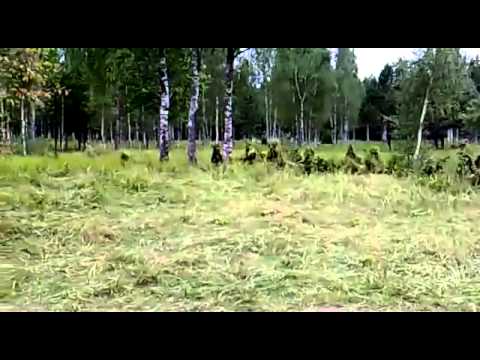 camouflaged -