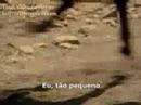 Laura Pausini - Strada Facendo [Legendado em Portugu�s]