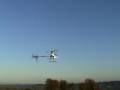 honey bee fp canopy Df4