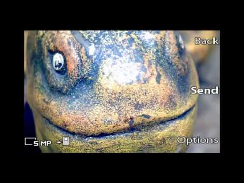 0 Video promocional del Smile Shutter de Sony Ericsson