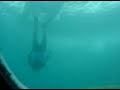 BUBU revelation-octopus fishing BUBU revelation-octopus fishing