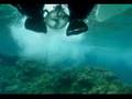 BUBU revelation octopus fishing